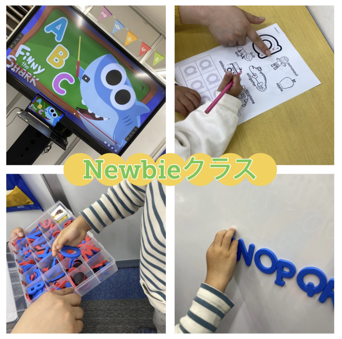 【流山おおたかの森校】Newbieクラスの紹介