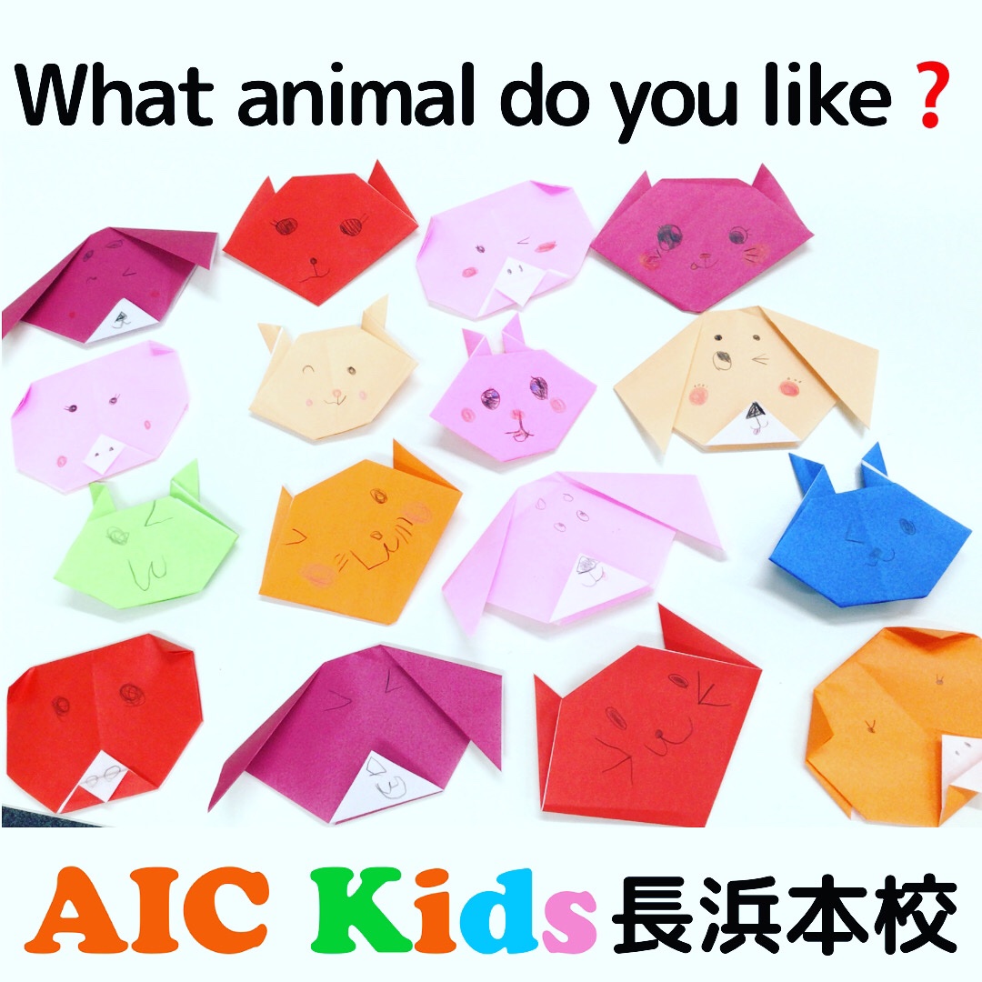 【長浜本校】何の動物が好きですか？